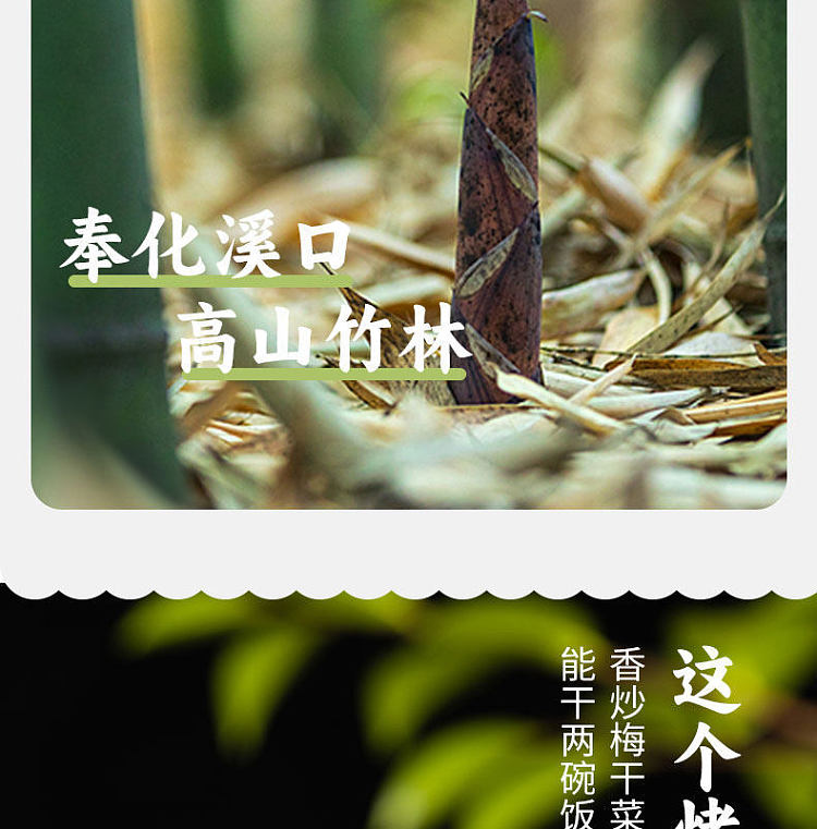 sanguan-six-wharf-roasted-bamboo-shoots-with-dried-plum-and-vegetables-280g-5