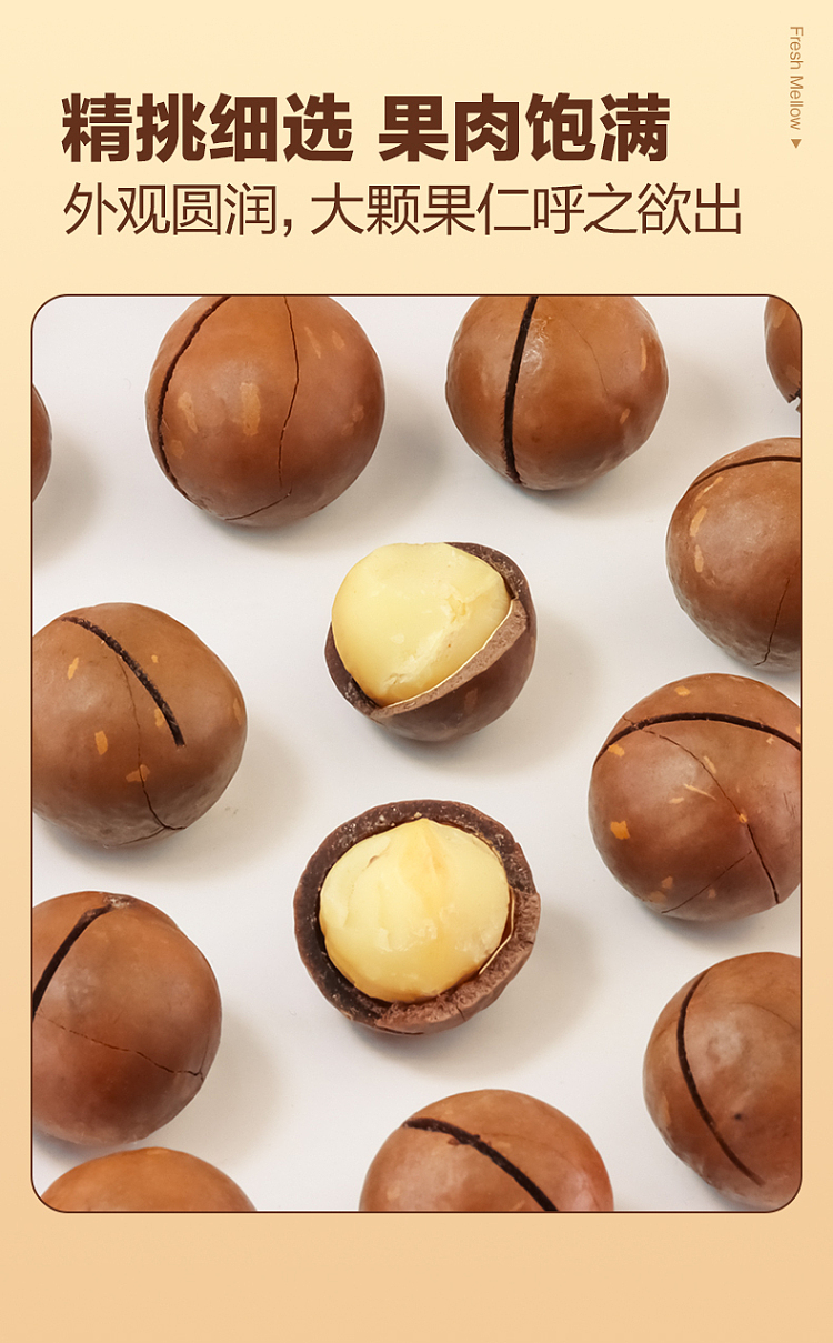 sihong-macadamia-nut-creamy-500g-4