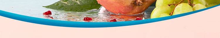 peopeo-miguel-juice-tea-mango-guava-400ml-9