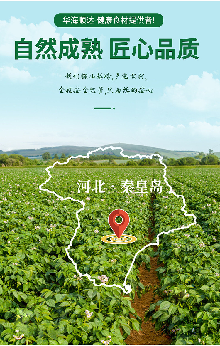 hua-hai-shun-da-potato-starch-300g-5