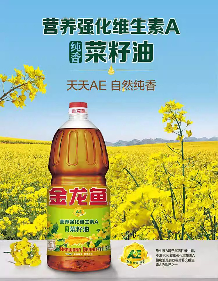 golden-dragon-pure-canola-oil-18l-1
