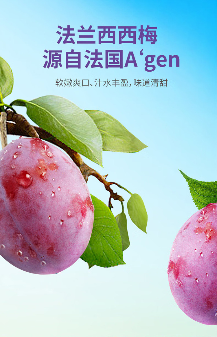 slippery-prunes-50g-1