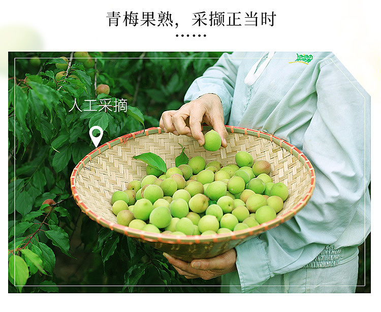 slippery-plum-original-flavor-plum-60g-5