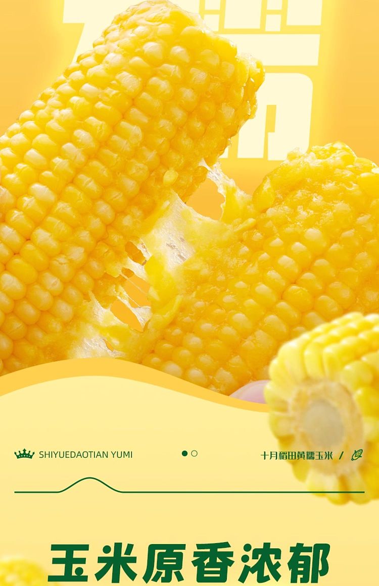 october-paddy-yellow-glutinous-corn-176kg-12