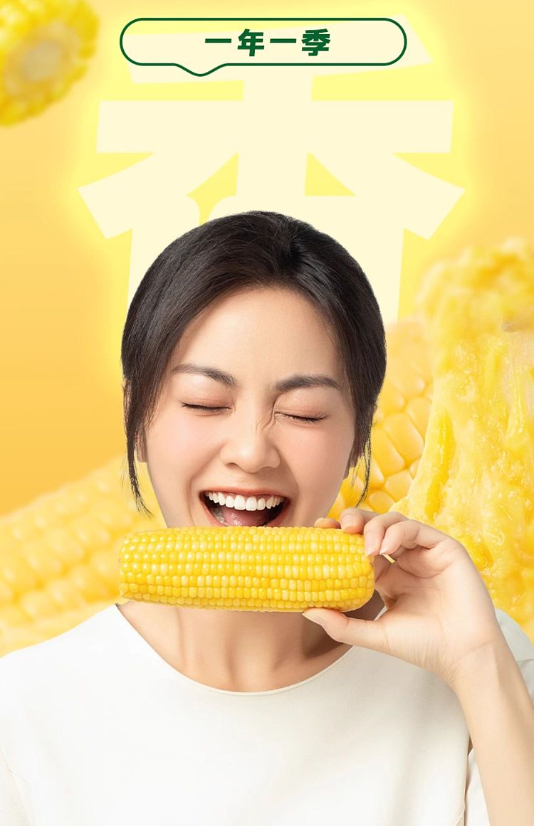 october-paddy-yellow-glutinous-corn-176kg-13