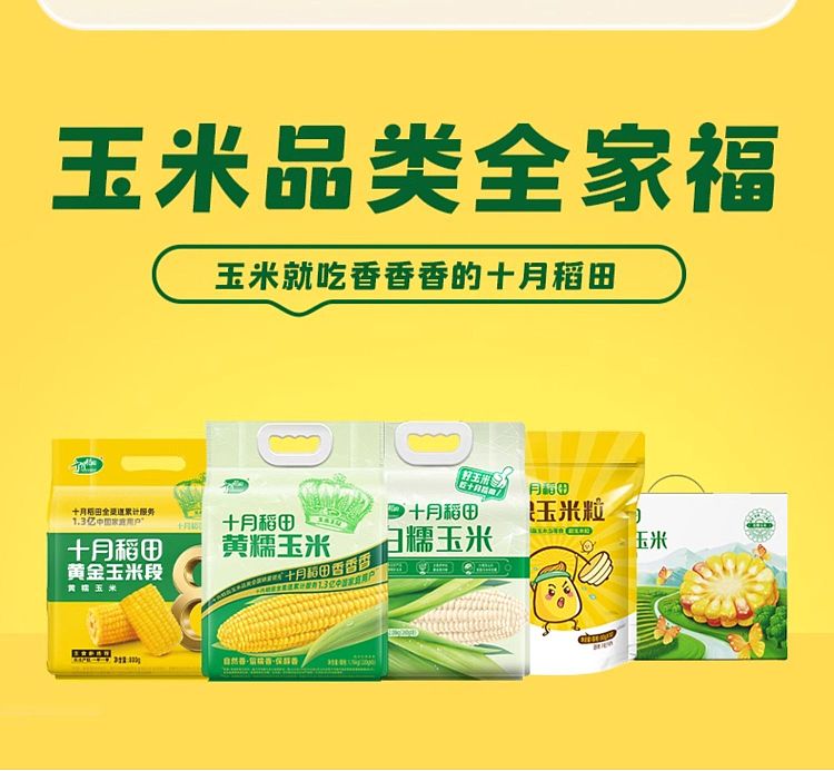 october-paddy-yellow-glutinous-corn-176kg-21