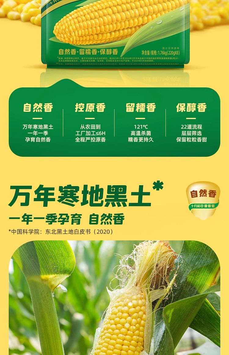october-paddy-yellow-glutinous-corn-176kg-5