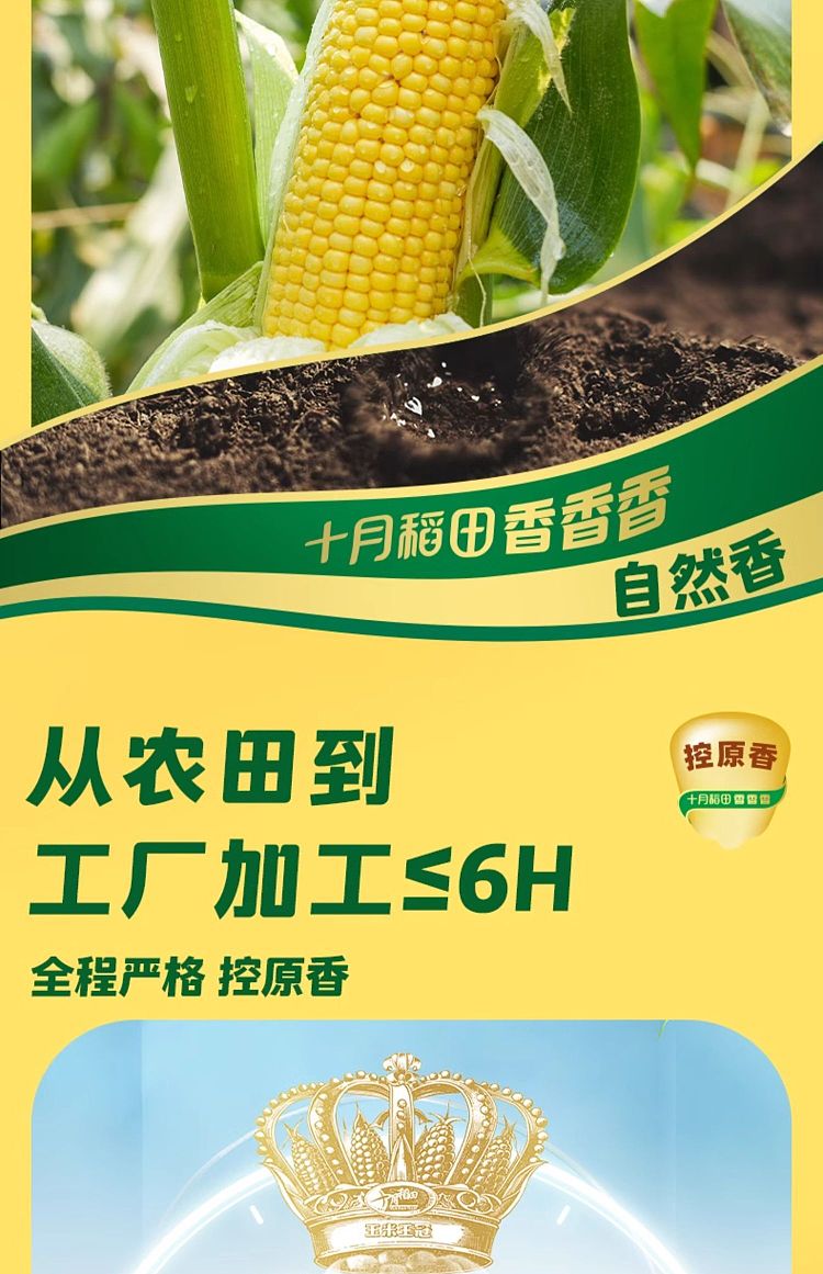 october-paddy-yellow-glutinous-corn-176kg-6