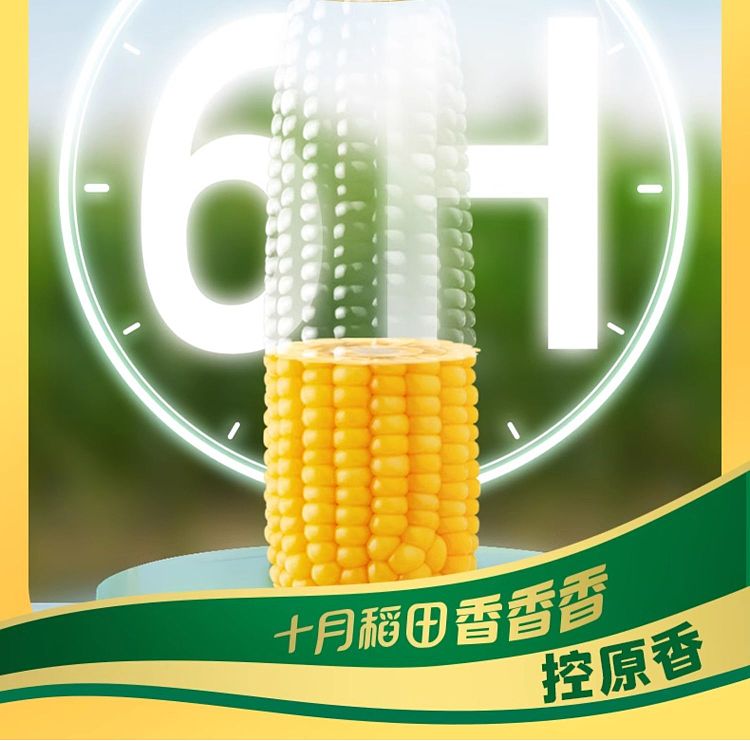october-paddy-yellow-glutinous-corn-176kg-7