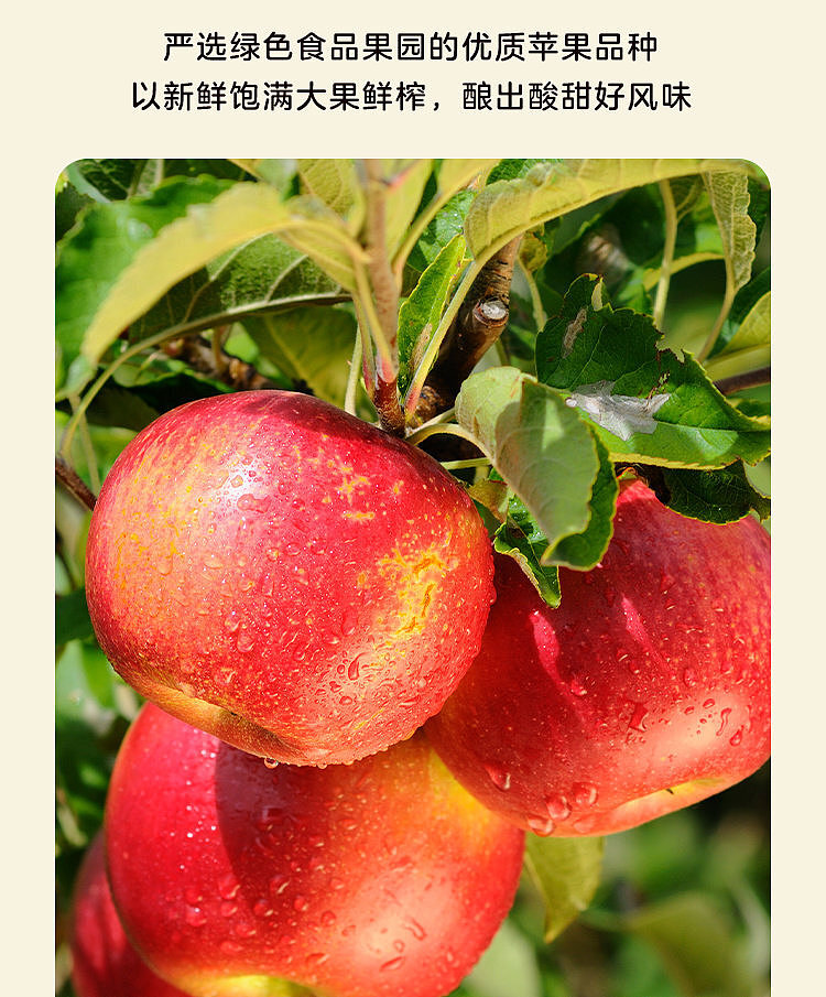 woji-xian-prebiotic-apple-cider-vinegar-drink-260-ml-3