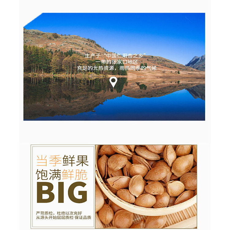 three-squirrels-small-white-apricot-kernel-100g-2