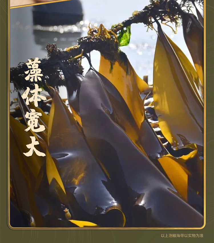 choy-lam-kee-shredded-seaweed-with-pickled-pepper-30g-2