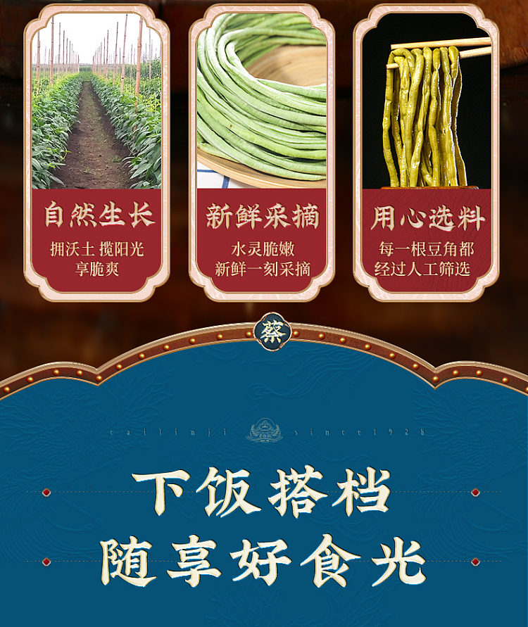 choy-lam-kee-hot-sour-crispy-bean-curd-30g-6