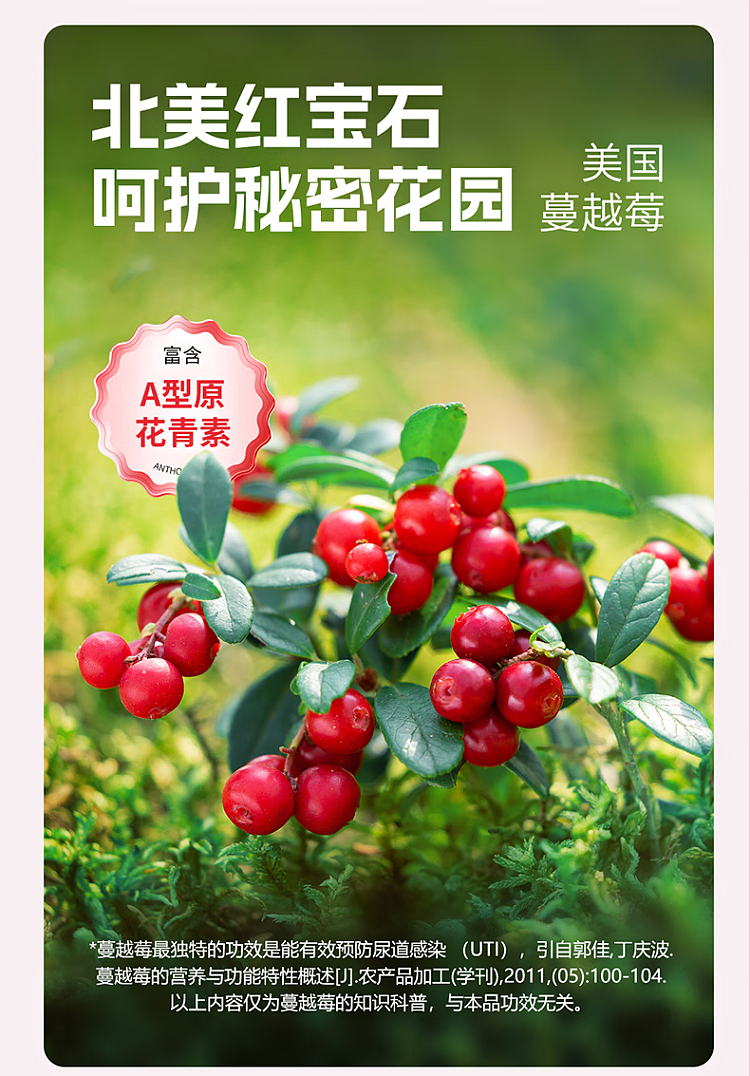 lightly-carbed-twin-berry-juice-1l-7