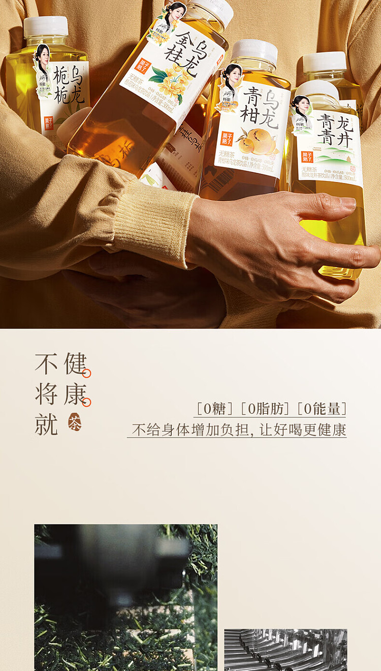 whole-carton-fruit-ripe-longjing-jasmine-500ml15-2