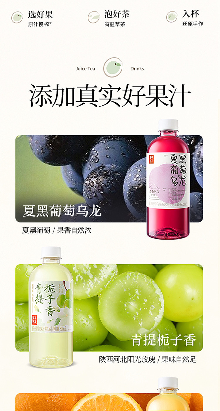 fruit-ripe-gardenia-green-raisin-flavor-juice-tea-500ml15-2