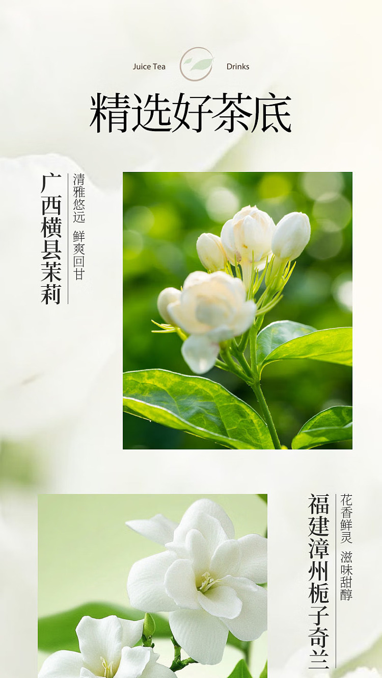 fruit-ripe-guava-jasmine-juice-tea-500ml-4