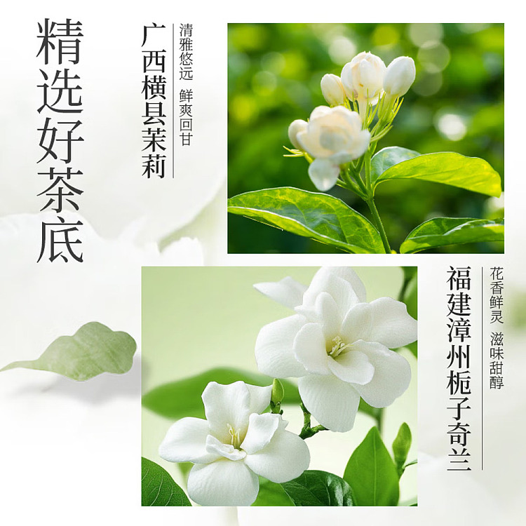 fruit-ripe-guava-jasmine-juice-tea-500ml-2