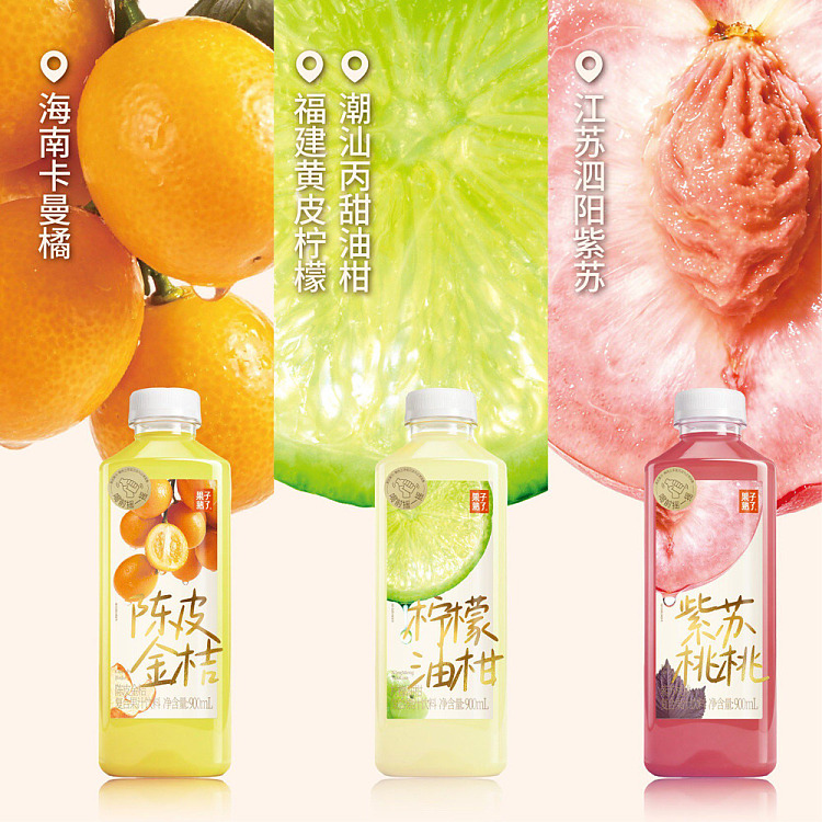 full-case-fruit-is-ripe-lemon-kumquat-900ml-12-bottles-2