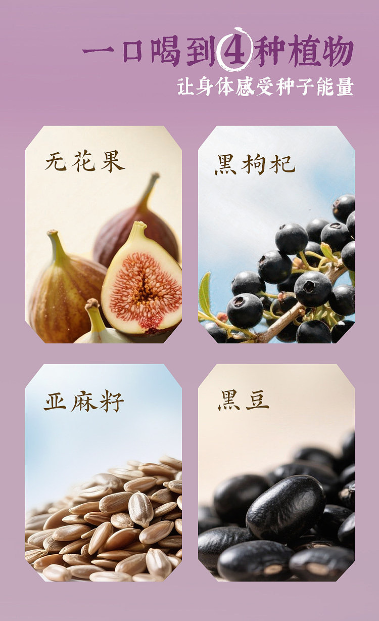 cocoa-full-fig-flaxseed-500ml15-3