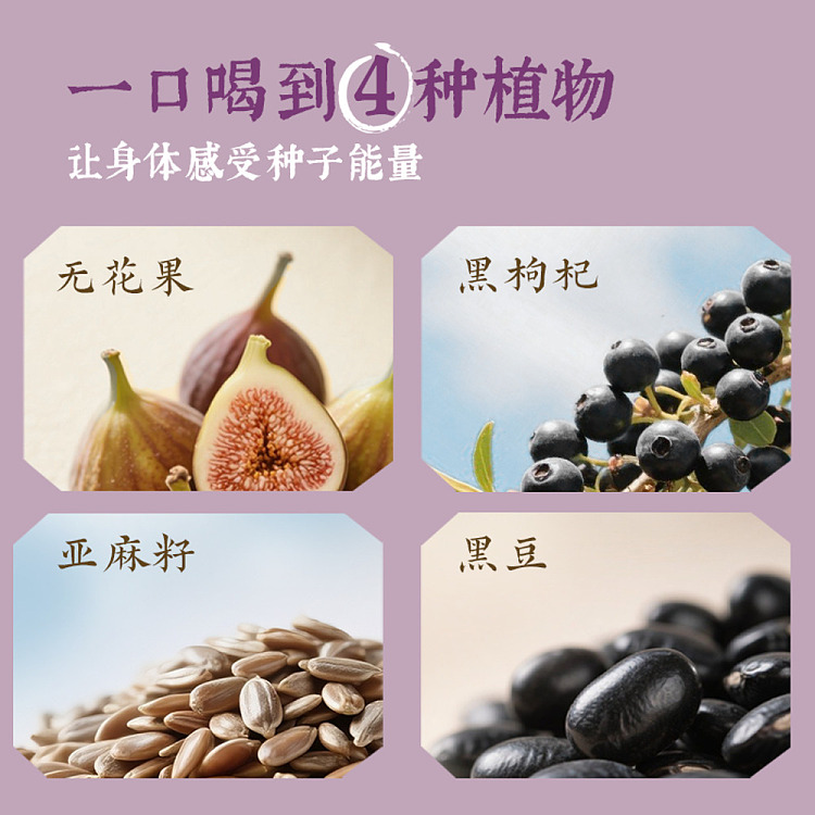 cocoa-full-fig-flaxseed-500ml15-5