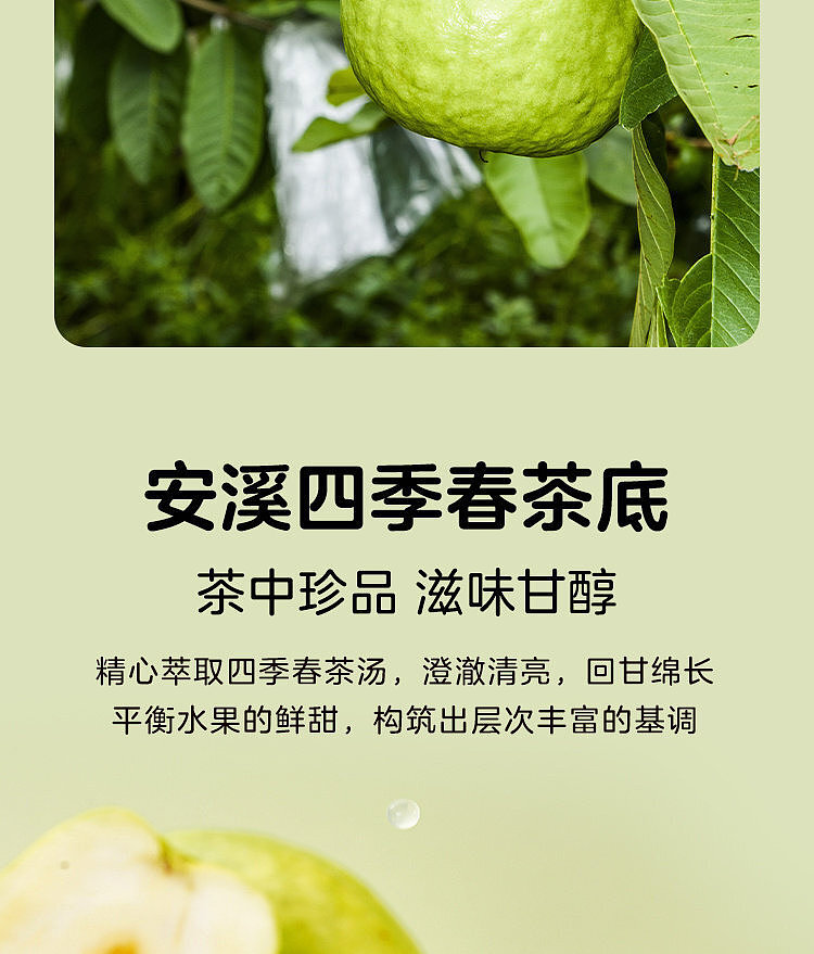 woji-xian-guava-lemon-green-tea-300-ml-x-3-cans-4