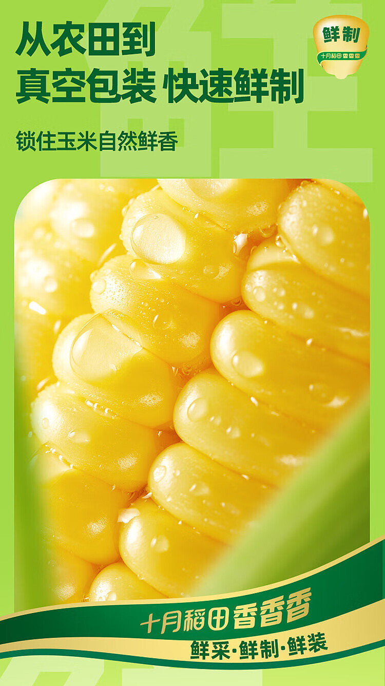 october-paddy-fresh-yellow-glutinous-corn-132kg-6