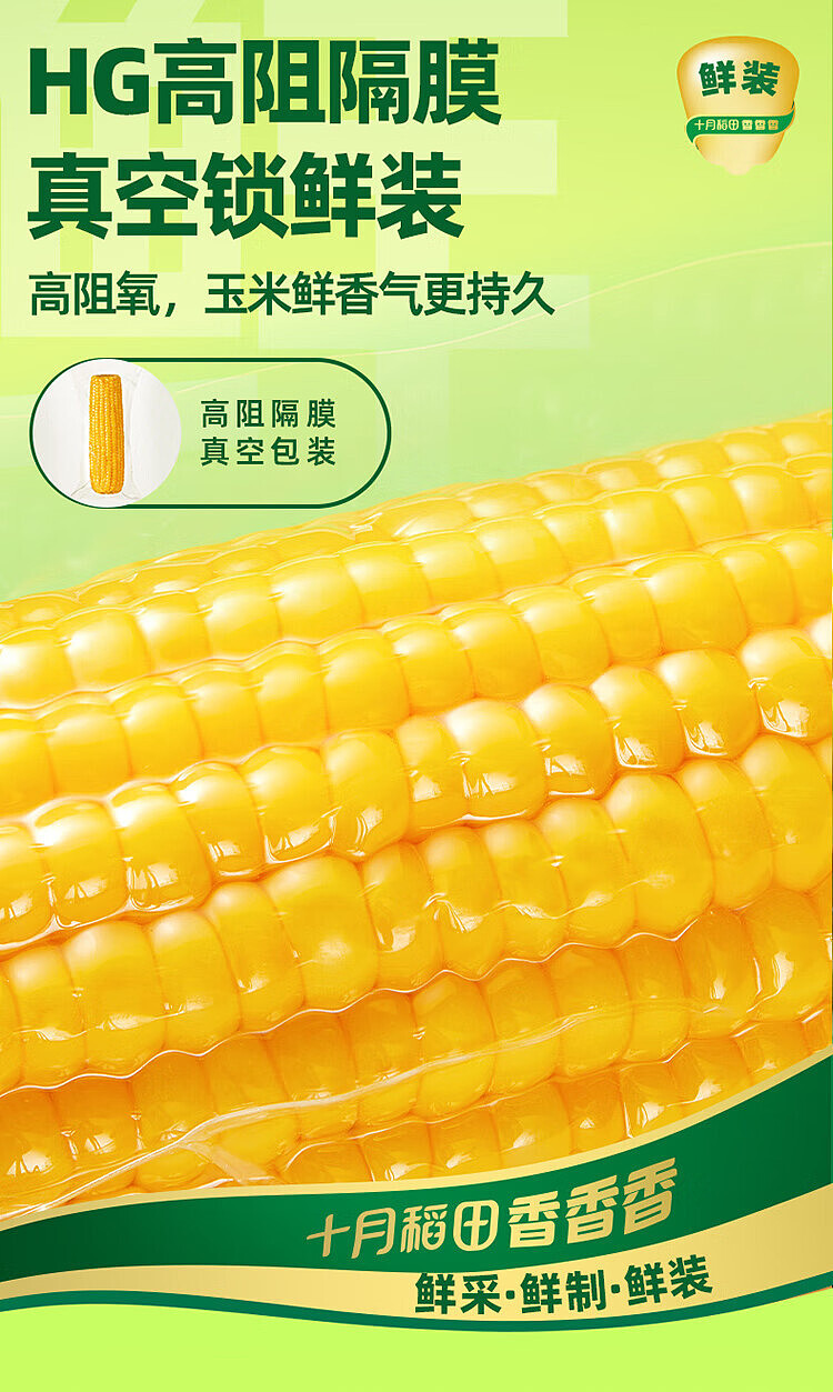 october-paddy-fresh-yellow-glutinous-corn-132kg-7