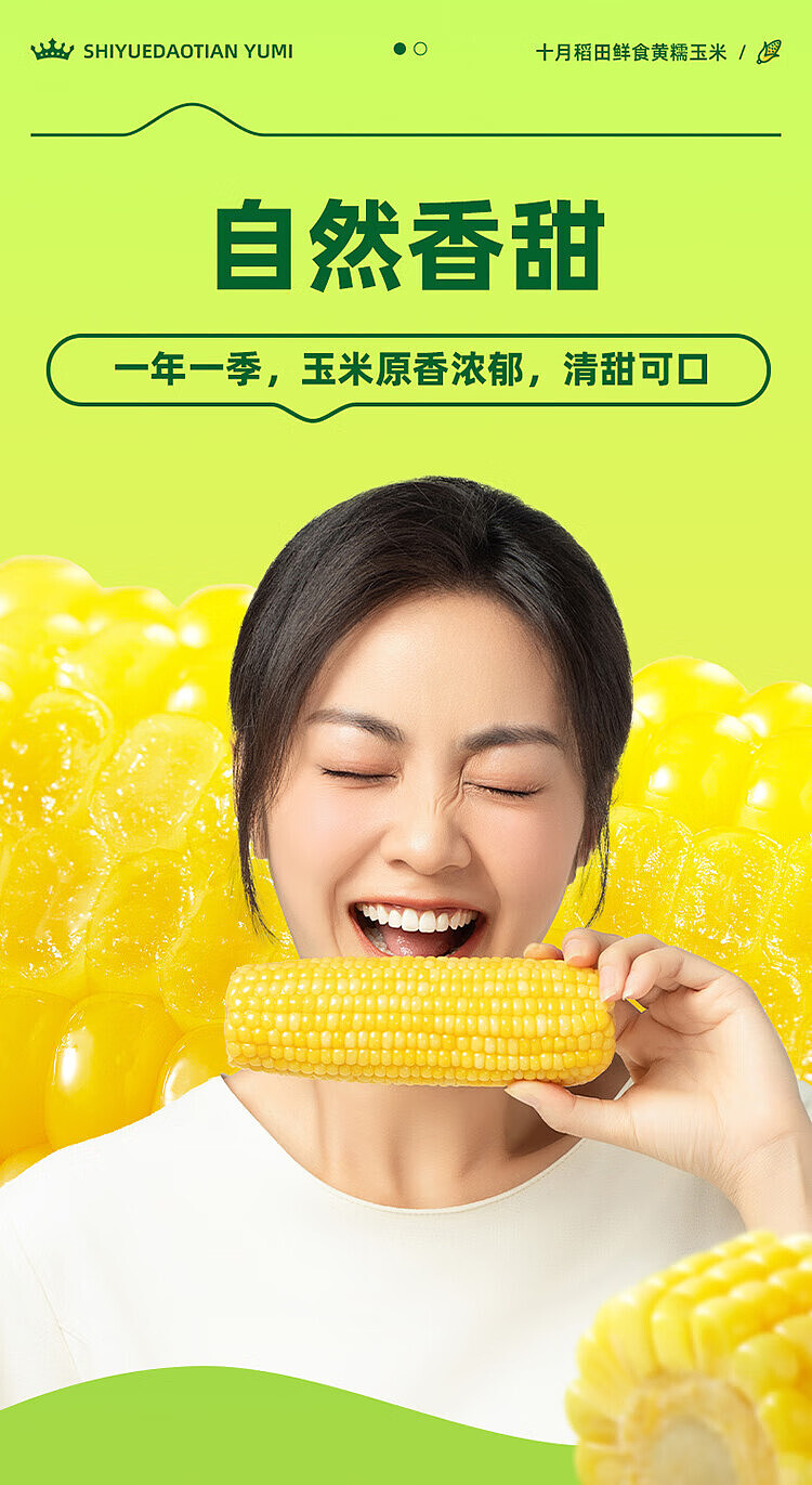 october-paddy-fresh-yellow-glutinous-corn-132kg-8