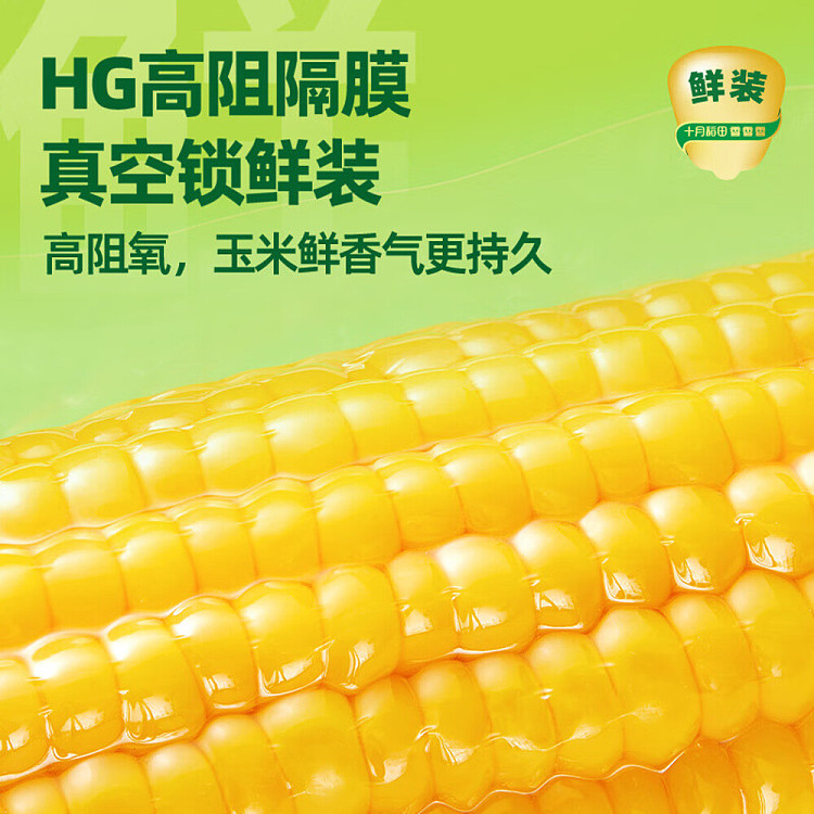 october-paddy-fresh-yellow-glutinous-corn-132kg-2