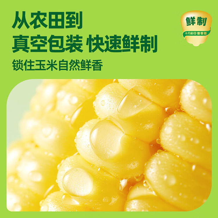 october-paddy-fresh-yellow-glutinous-corn-132kg-3