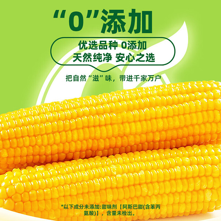october-paddy-fresh-yellow-glutinous-corn-132kg-4