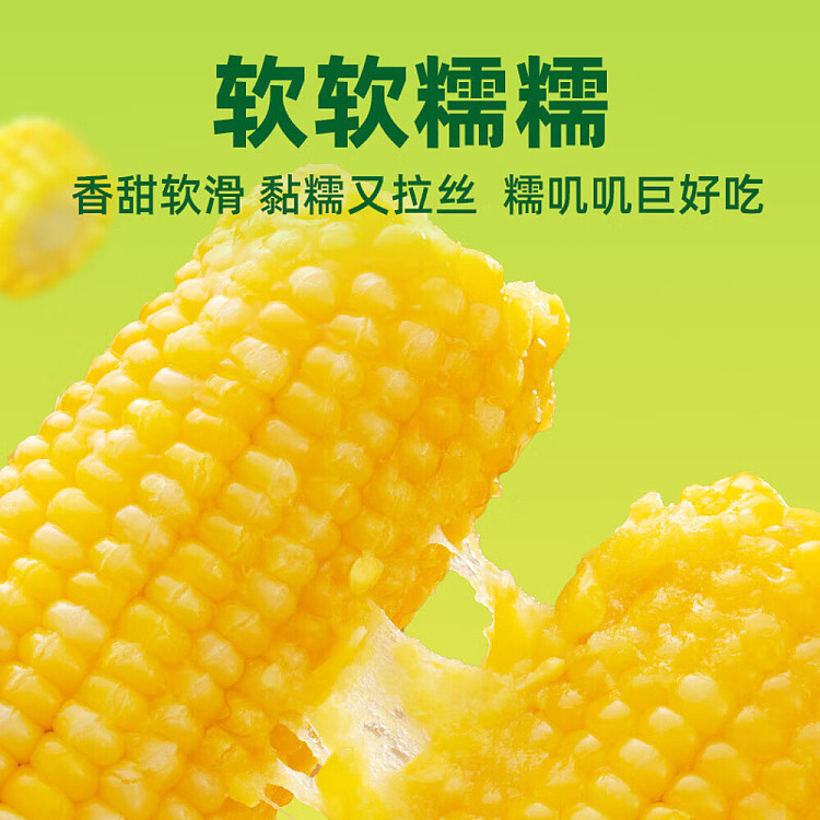 october-paddy-fresh-yellow-glutinous-corn-132kg-5
