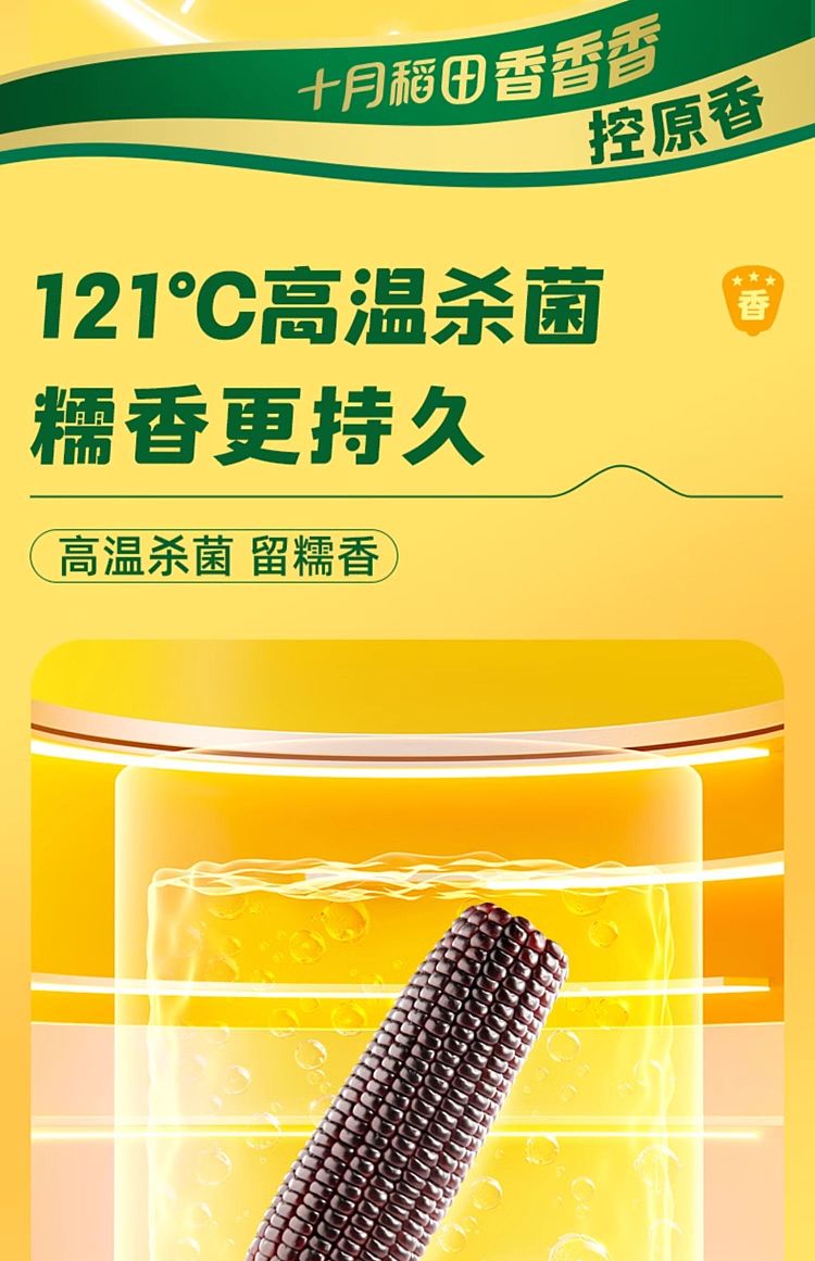 october-paddy-black-glutinous-corn-176kg-10