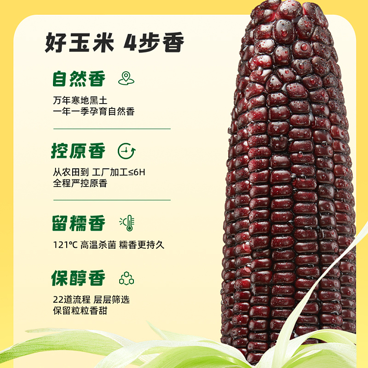 october-paddy-black-glutinous-corn-176kg-4