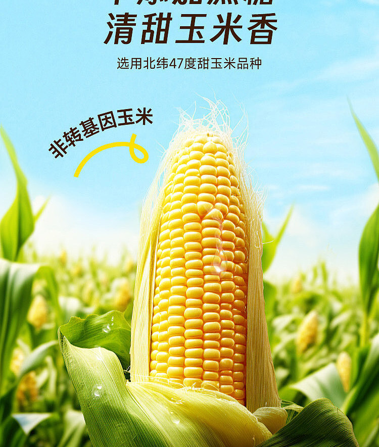 full-case-north-latitude-47-sweet-corn-juice-drink-245-ml-8-bottles-5
