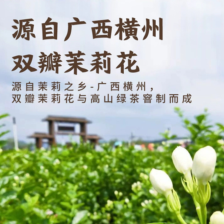 tea-xiao-kai-tea-flavor-jasmine-snow-500ml-2