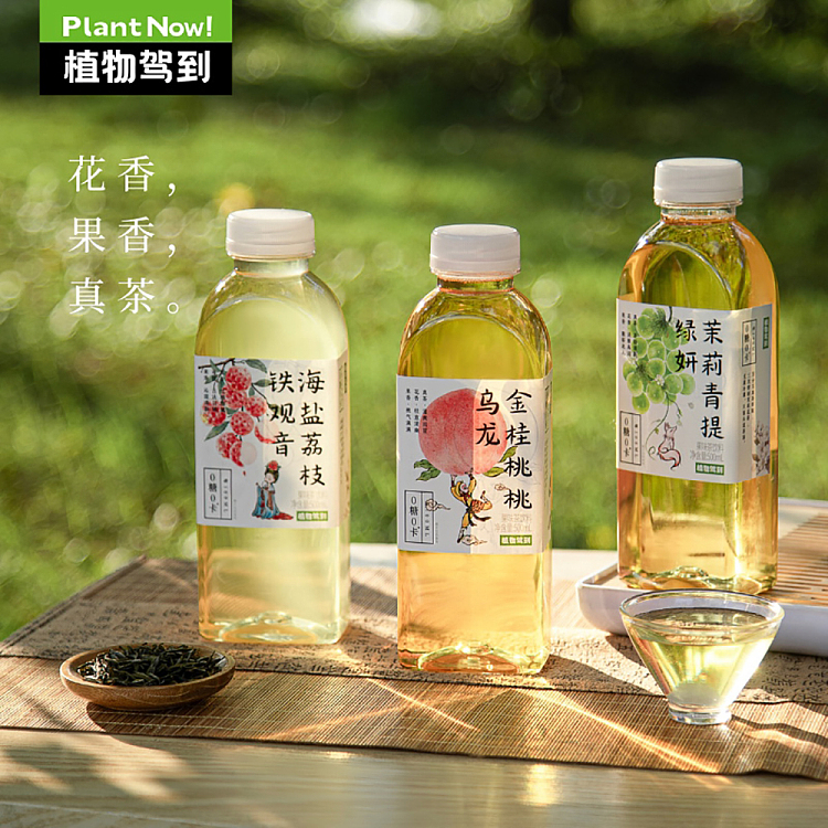 whole-carton-botanical-drive-unsweetened-tea-jasmine-green-tee-green-yeon-500ml15-3
