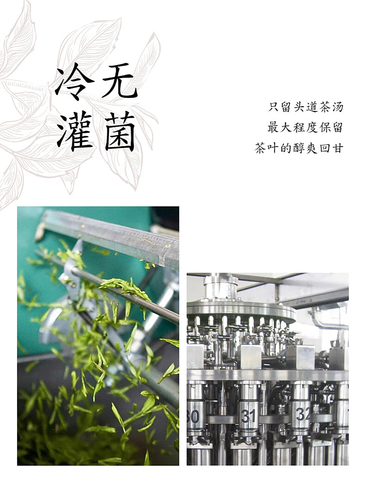 whole-carton-plant-driving-rainy-day-plum-longjing-500ml15-5