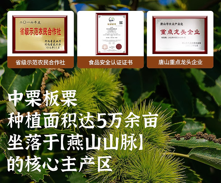 chinese-chestnut-sea-salt-chestnut-60g-5