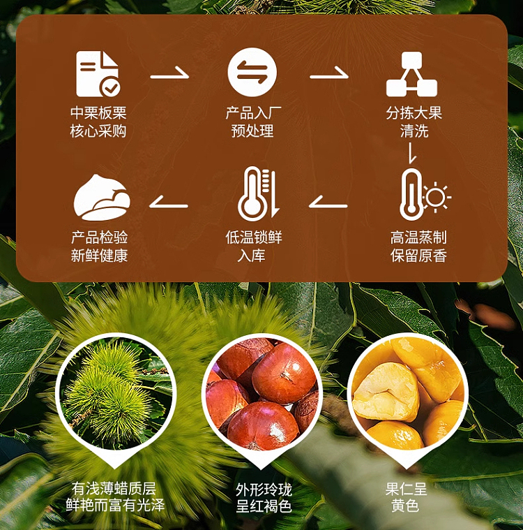 chinese-chestnut-sea-salt-chestnut-60g-6