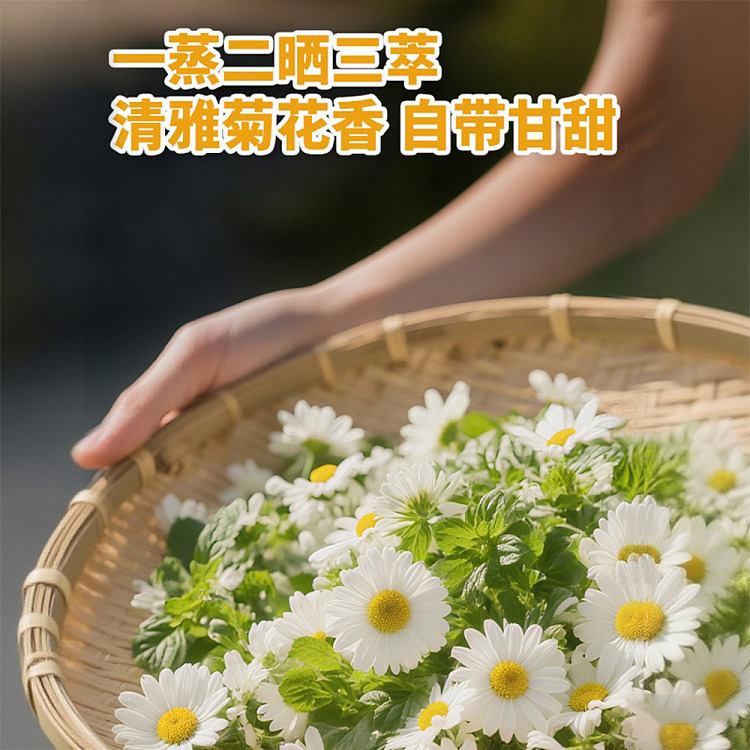 genki-forest-chrysanthemum-yuzu-water-900ml12-2