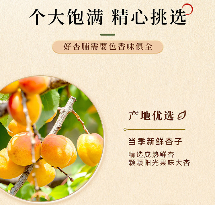 muguoren-dried-apricots-100g-5