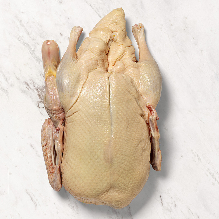 frozen-aurumpoultry-gold-medal-corn-fed-butter-duck-approx-23kg-2