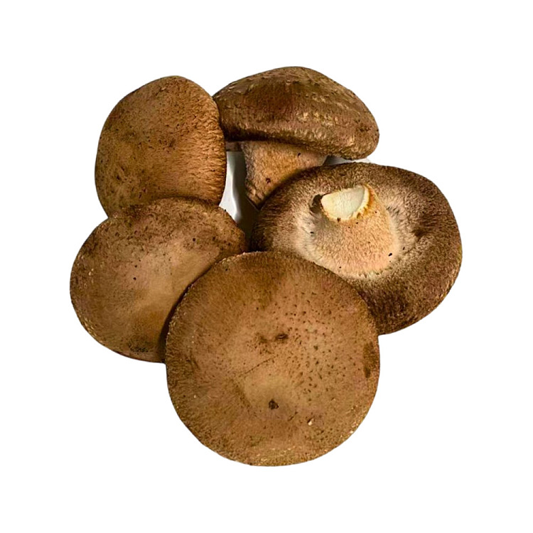 mycoharvest2ndgrade-mushroom-100g-2