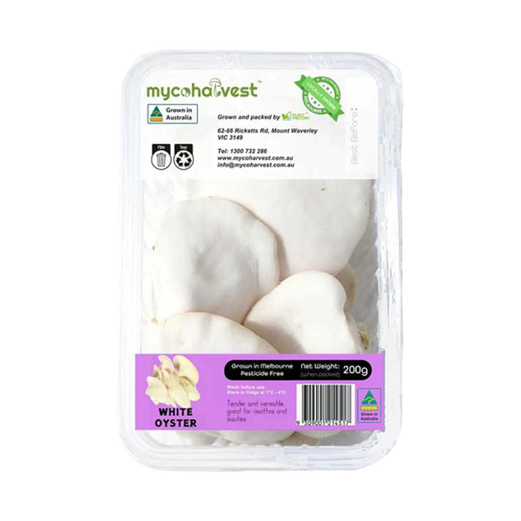 mycoharvest-white-abalone-mushroom-200g-4