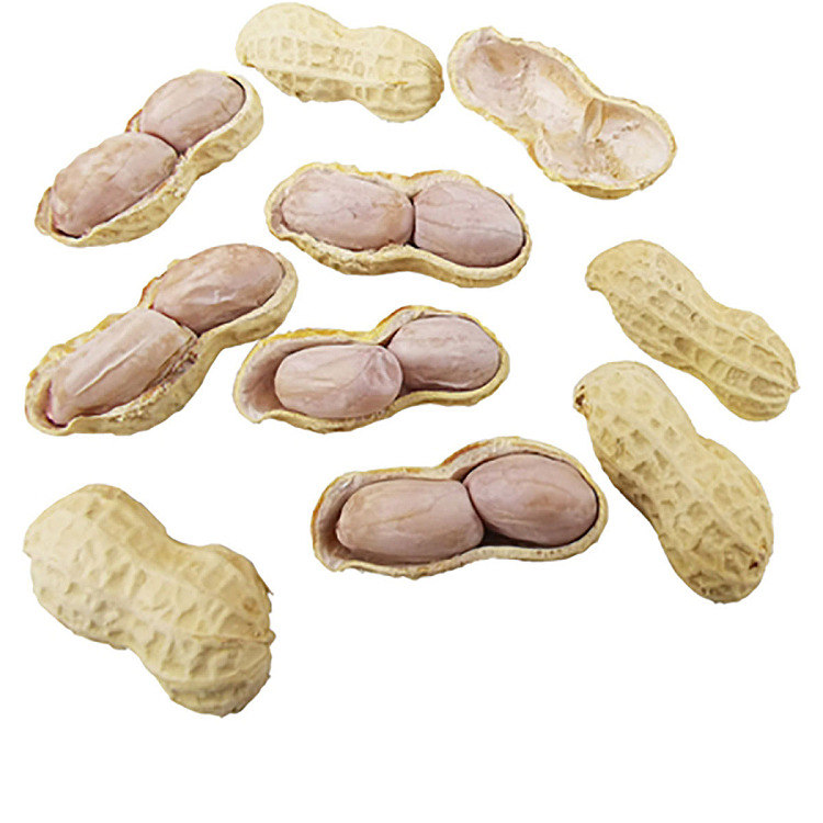 wild-mountain-sun-dried-boiled-peanuts-454g-2