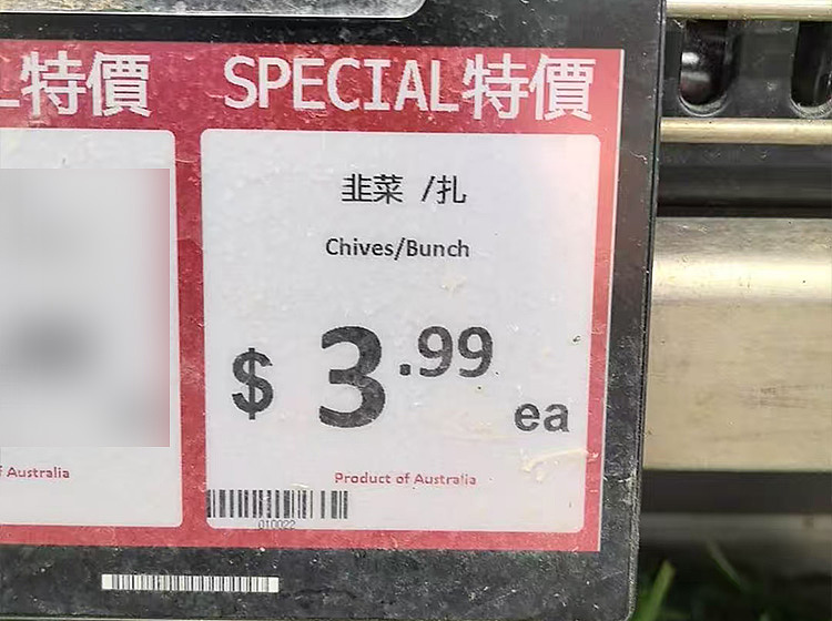 fresh-2-bundles-of-leeks-2