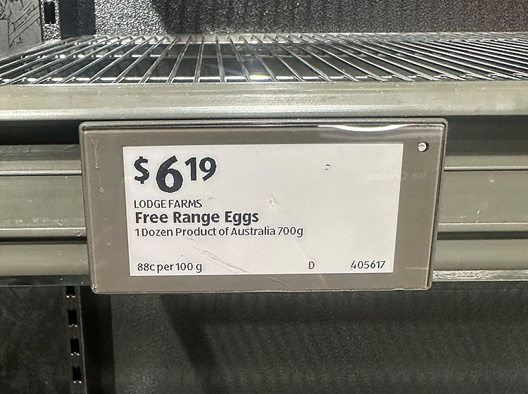 pacefarmfreerange-walking-eggs-xl-extra-large-12pcs-700g-2