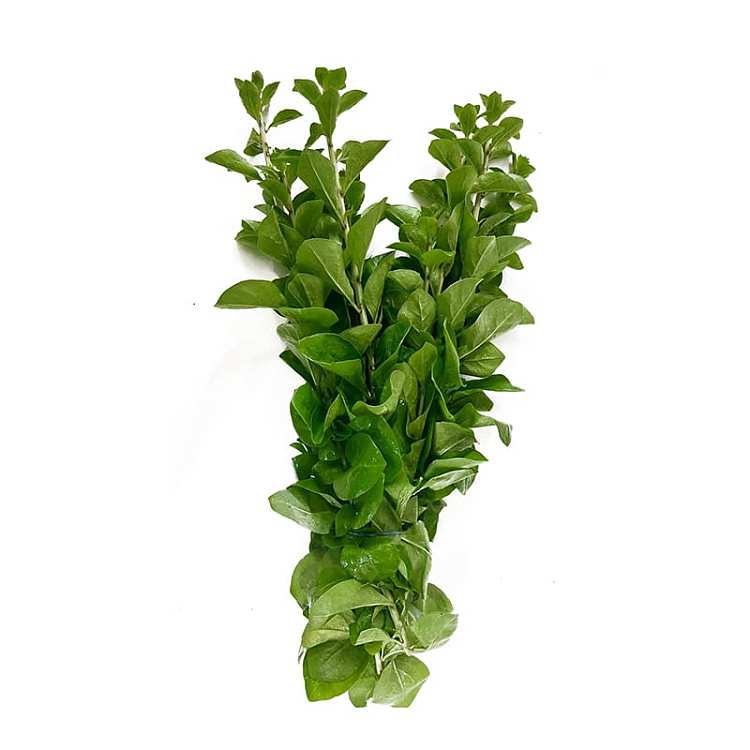 freshufresh-wolfberry-leaves-1-handful-1